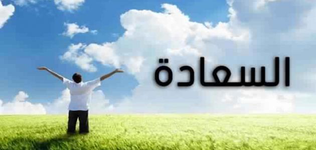 السعادة في الإسلام