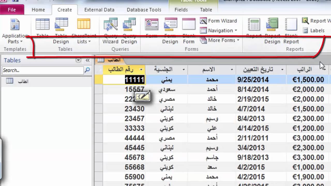 قاعدة البيانات